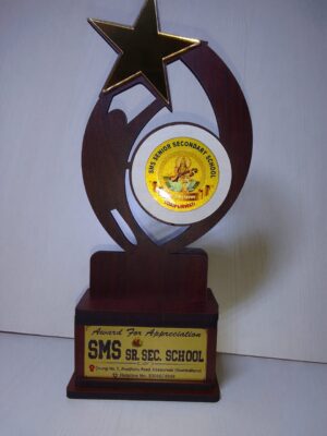 Victory Flame Frosted Crystal Award