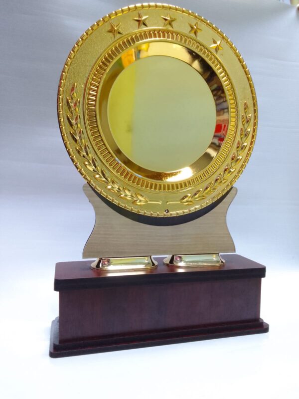 Blue Peak Crystal Excellence Award