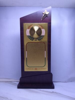 Teardrop Clear Crystal Recognition Award