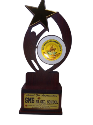 Sports Achievement Trophy
